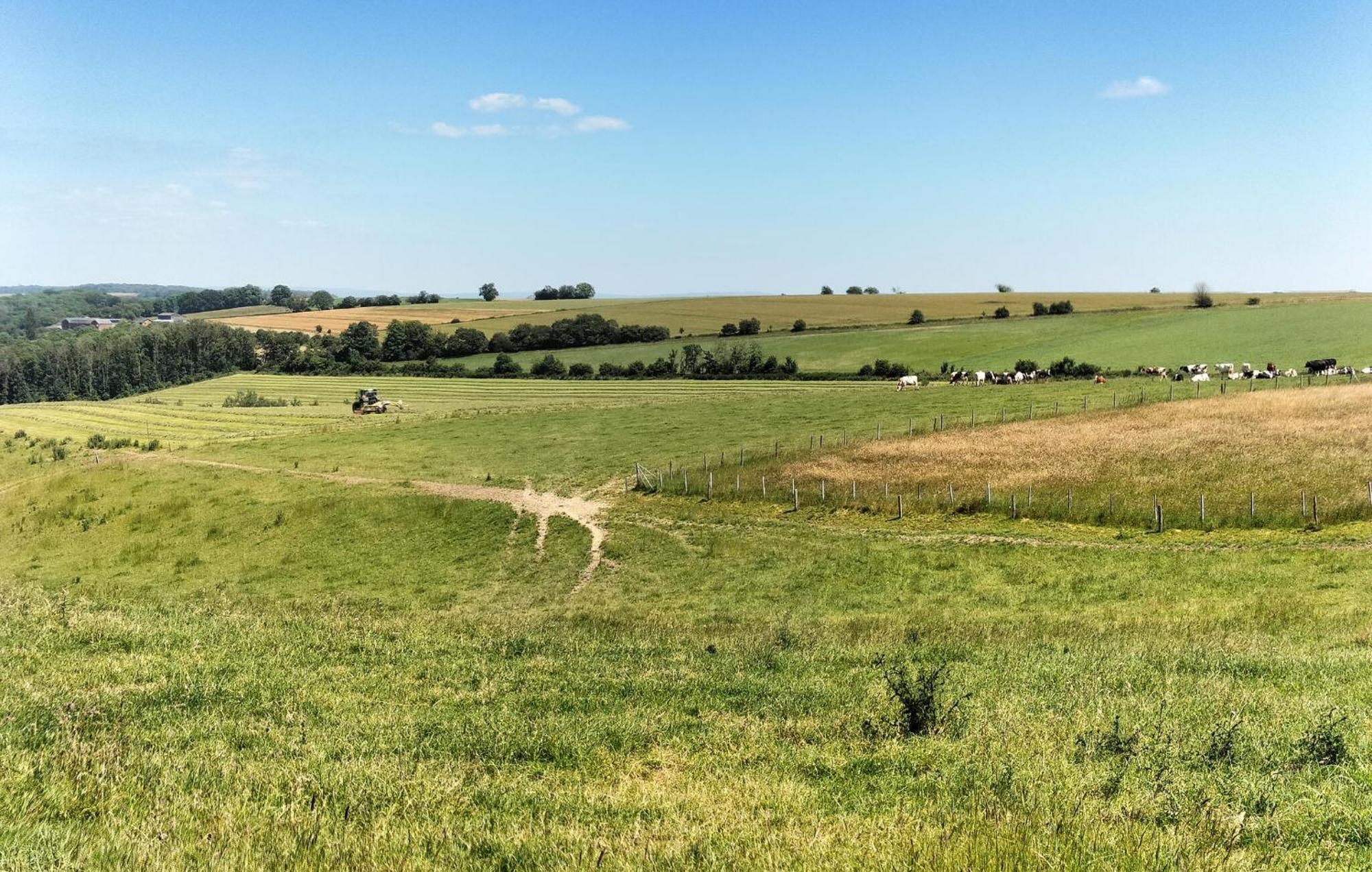 Nice Home In Somme-Leuze With Wifi 외부 사진
